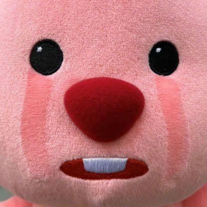 百分之百成都人