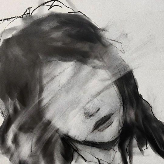 百事通小青年LJT（提问者）