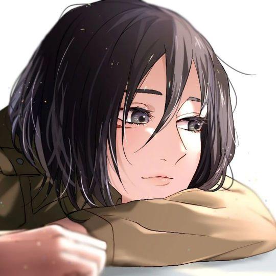 白小白美食（提问者）