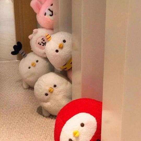 林伟贤与张锦贵活动负责者